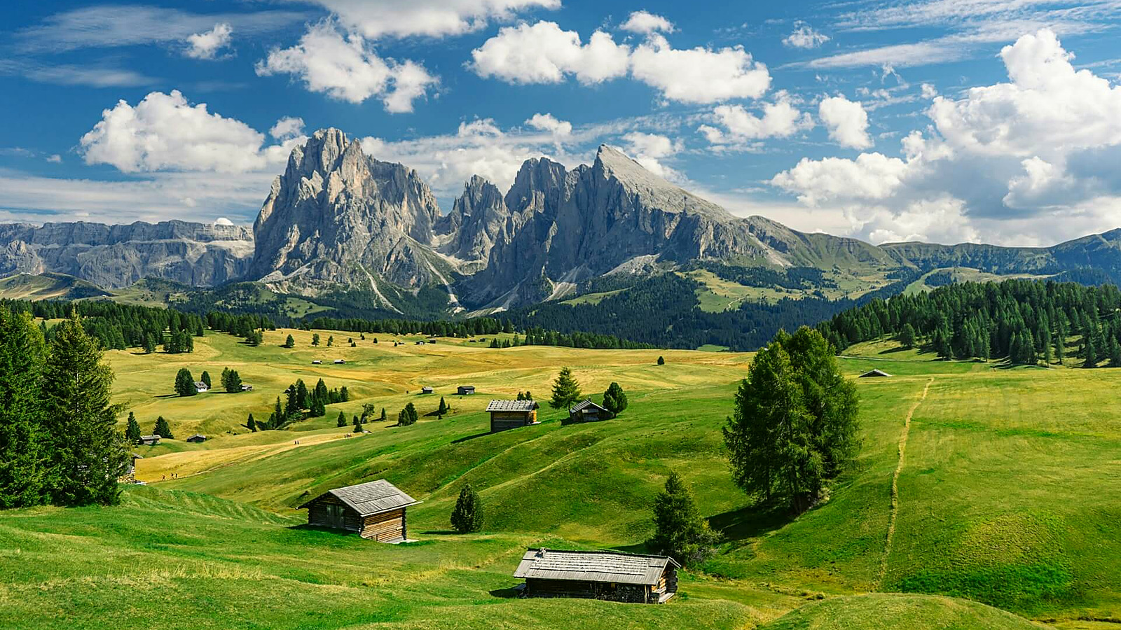 Il giro panoramico del Monte Bullaccia